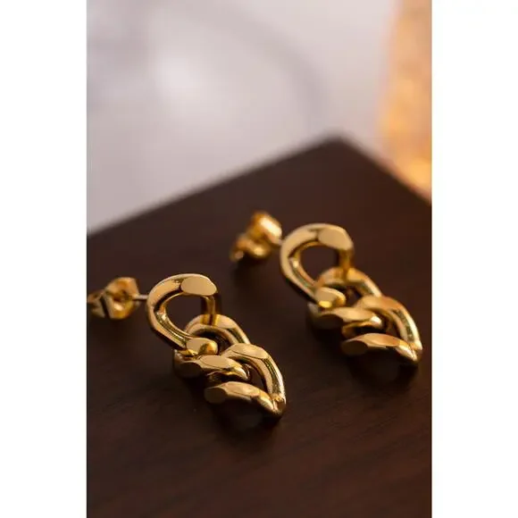 Stainless Steel Chain Earrings - Picture 5 of 5